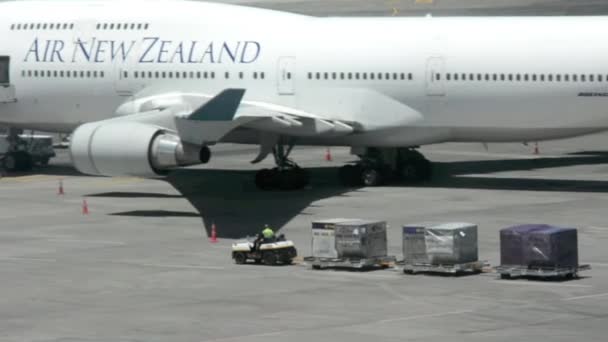 Passageiros da Nova Zelândia Aviões a jato no aeroporto de Auckland — Vídeo de Stock