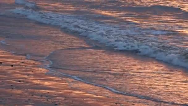 Vagues se brisant vers le rivage — Video