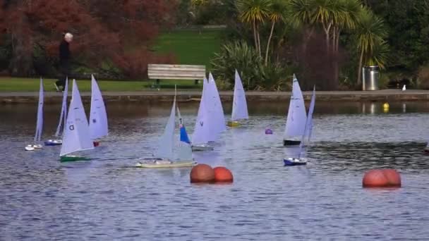 Människor racing avlägsen kontrollerade trä segelbåtar — Stockvideo