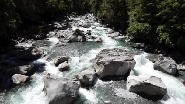 Sungai Cleddau di Fiordland — Stok Video