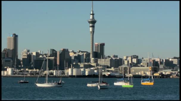 Auckland belvárosi skyline — Stock videók