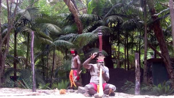 Yugambeh Aboriginal warriors men sing play and dance during Aboriginal culture show — Stockvideo
