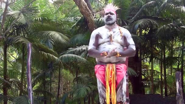 Prajurit Aborigin Yugambeh bernyanyi dan menari selama budaya Aborigin menunjukkan — Stok Video