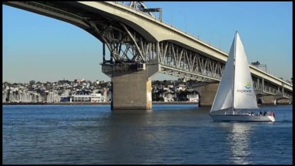 Puente del puerto de Auckland en Auckland — Vídeo de stock