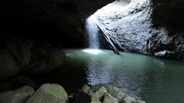 Parque nacional de springbrook — Vídeo de Stock