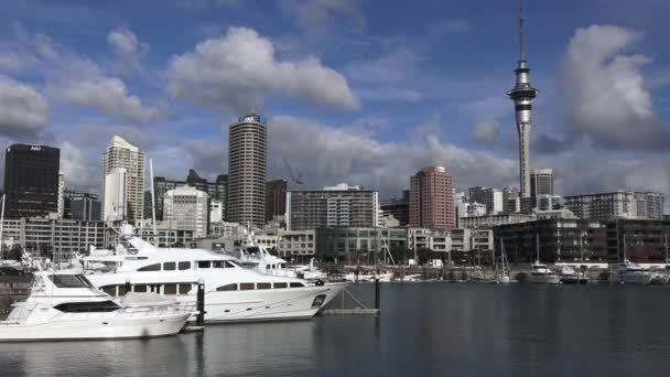 Jachten aanmeren op Auckland Viaduct Harbor bekken — Stockvideo