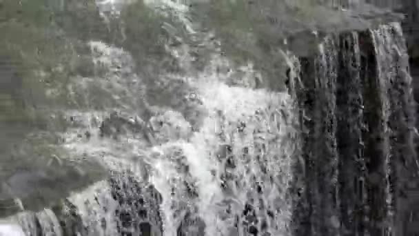 Charlies felsen wasserfall in kerikeri — Stockvideo