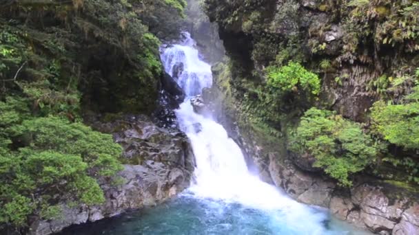 Cataratas arroyo en Fiordland — Vídeo de stock