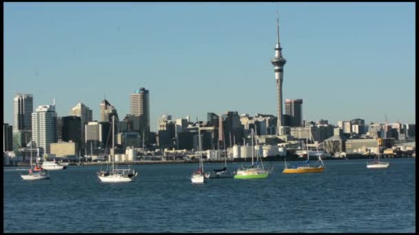 Auckland belvárosi skyline — Stock videók