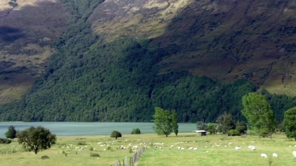 Une ancienne bergerie à Paradis — Video