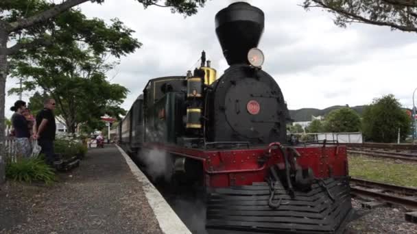 Gabriel steam engine — Stock video