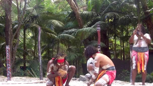 Hombres guerreros aborígenes de Yugambeh cantan juego y danza — Vídeo de stock