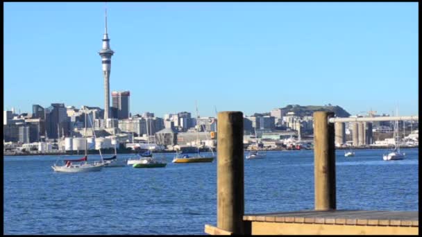 Centrum skyline van Auckland — Stockvideo