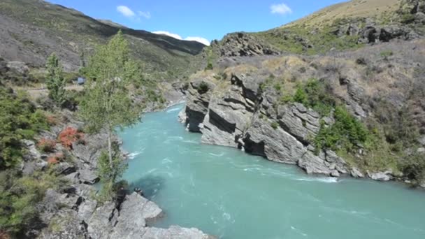 Kawarau rivier in Otago — Stockvideo