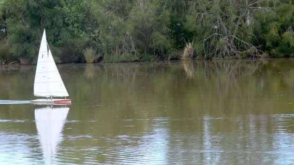 Menschen rasen ferngesteuerte Segelyachten — Stockvideo