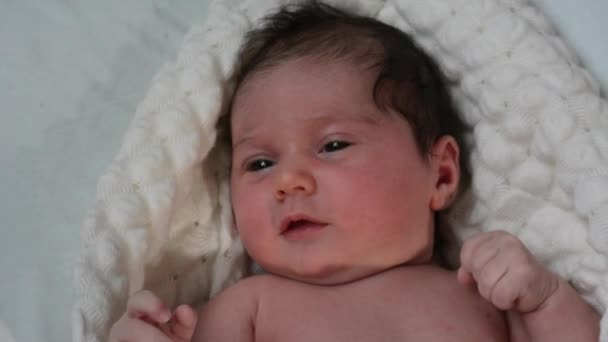 Новорожденный ребенок лежит на мягком одеяле — стоковое видео
