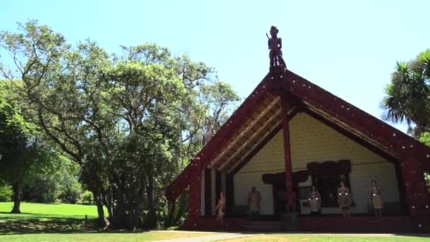 Ceremonia de bienvenida maorí — Vídeo de stock