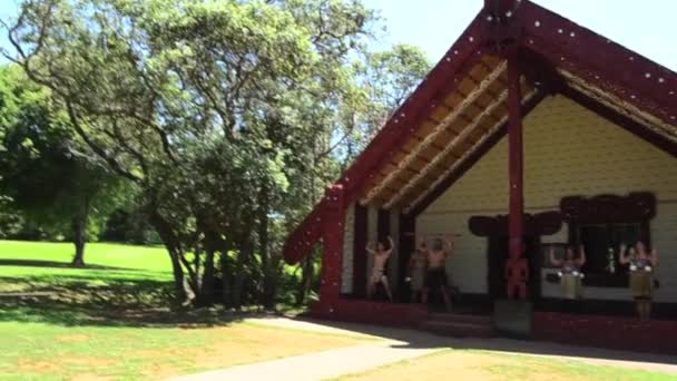 Maori welcoming ceremony — Stock Video