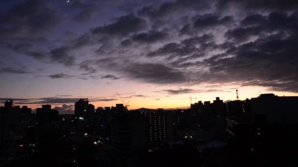 Auckland centre financier skyline — Video