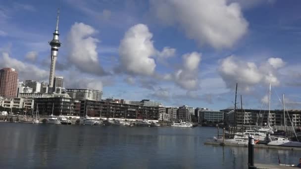 Jachten aanmeren op Auckland Viaduct Harbor bekken — Stockvideo