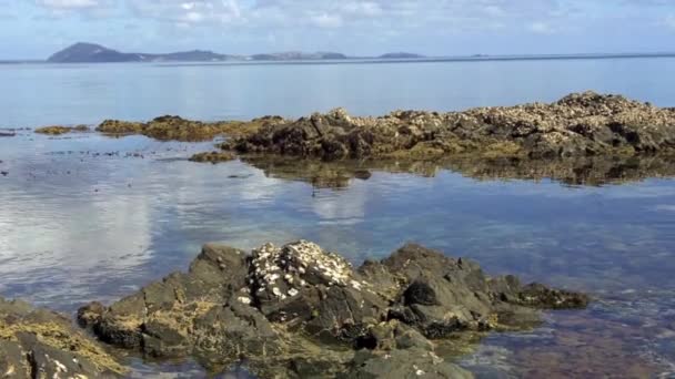 Pláž rangiputa na poloostrově Karikari — Stock video