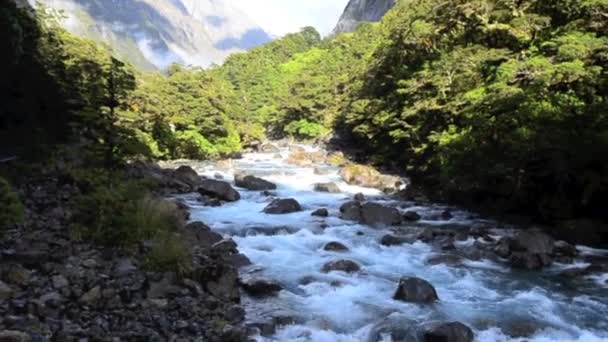 Пейзаж реки Холлифорд в Fiordland — стоковое видео