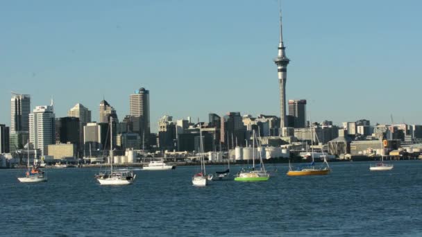 Northcote point across Auckland harbo — Stock Video