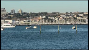 Auckland şehir manzarası