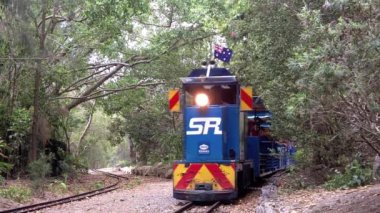 Ridable minyatür tren tren