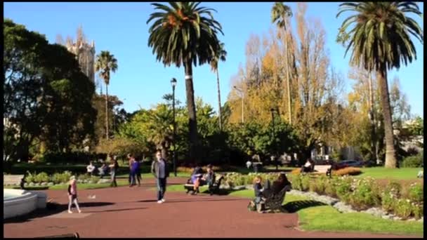 Albert Park Auckland Cityscape, nieuwe ijver — Stockvideo