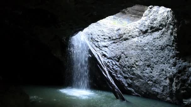 Cachoeira na Ponte Natural no Parque Nacional de Springbrook — Vídeo de Stock