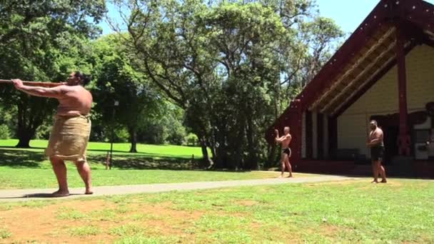 Ceremonia de bienvenida maorí — Vídeo de stock