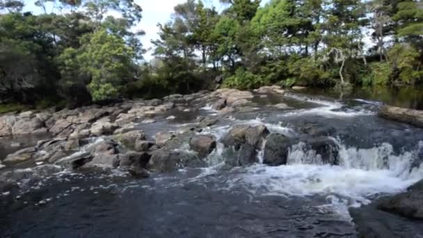 Kerikeri waterfalls nature reserve — Stock Video