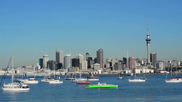 Northcote point across Auckland harbour — Stock Video