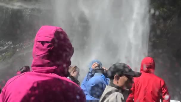 Bezoekers varen in Milford Sound — Stockvideo