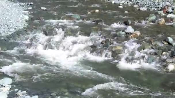 Paysage de la rivière Eglinton dans le Fiordland — Video