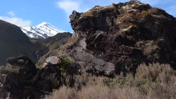 Rock formation on Mount Ruapehu in New Zealand National park — Stock Video