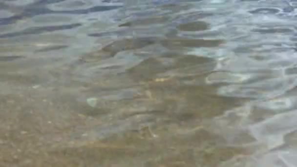 Arroyo superficial de agua dulce — Vídeos de Stock
