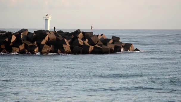 Рыбак на Gold Coast Seaway — стоковое видео