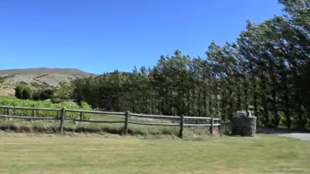 Weinberge im gibbston tal in otago — Stockvideo