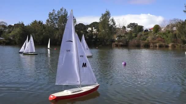 Regata di barche a vela telecomandate in legno — Video Stock