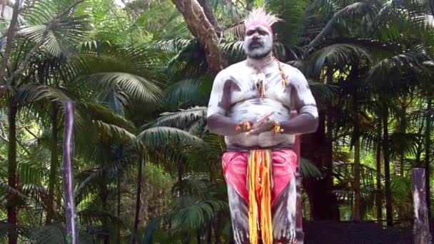 Yugambeh El hombre guerrero aborigen baila durante el show de cultura aborigen en Queenland Australia — Vídeo de stock