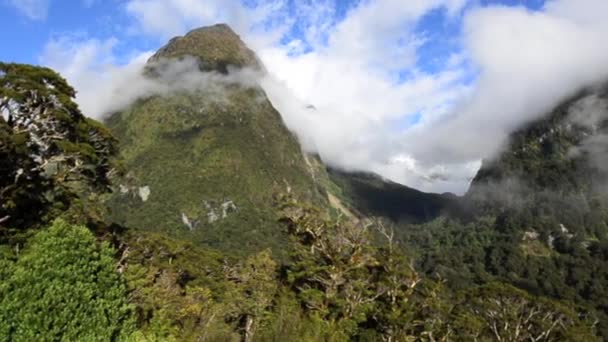 Landschap van bergen in Fiordland — Stockvideo