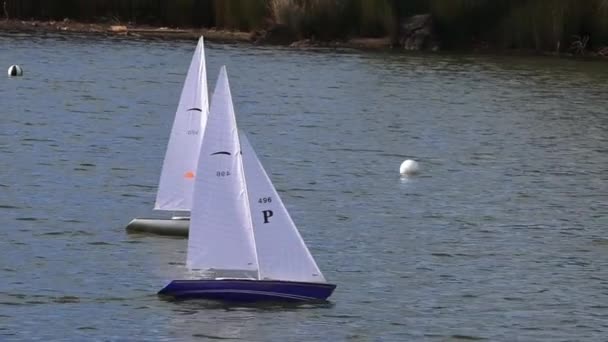 Afstandsbediening zeilen houten jachten race — Stockvideo