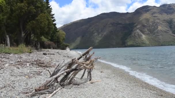 Wakatipu cerca de Glenorchy en la isla del sur — Vídeo de stock