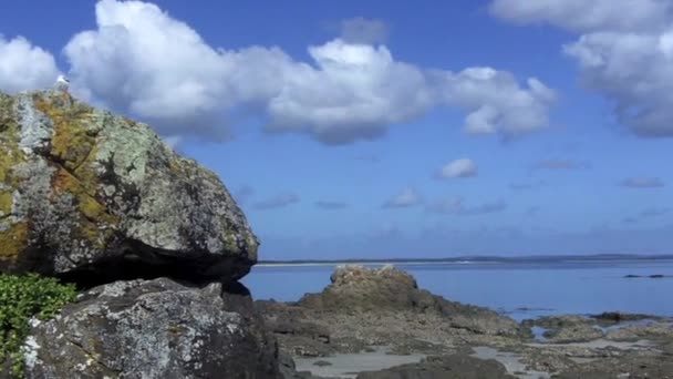 Plaża rangiputa na półwyspie Karikari — Wideo stockowe