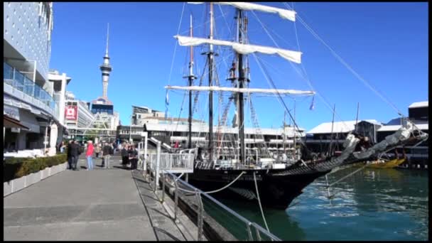 Spirit of New Zealand — Stock Video