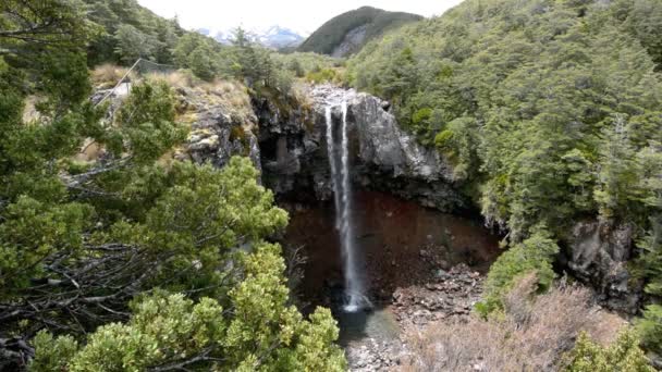 New Zealand National park 9 — Stock Video