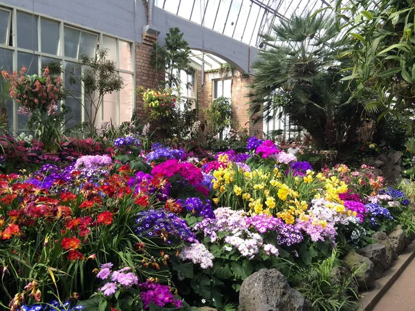 Auckland Winter Gardens en Auckland Nueva Zelanda — Foto de Stock