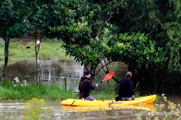 KAWAKAWA, NZL - 20 MAR 2012: 2025 yılında, Northland, Yeni Zelanda 'daki çiftçiler, öncelikli olarak eski Tropikal Kasırga Tam tarafından yürütülen önemli sel olaylarıyla karşılaştılar..